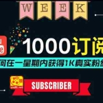 (3359期)油管涨粉教程:一星期内获得1000真实粉丝,免费且快速的方法 操作简单
