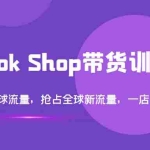 (3342期)TikTok Shop带货训练营,打开全球流量,抢占全球新流量 一店卖全球(第14期)