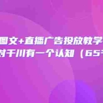 (3317期)巨量千川图文+直播广告投放教学+实操经验:让你对千川有一个认知(65节课)