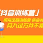 (3242期)「抖音训练营」听完这期训练营,你会发现月入过万并不难(22节课)
