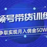 (3235期)收费4980的《视频号带货训练营》争取实现月入佣金50W+(课程+资料+工具)
