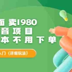 (3232期)外面卖1980的抖音项目:不用成本不用下单,日入过千算入门【详细玩法教程】