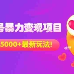 (3218期)外面收费699的视频号暴力变现项目,日入5000+,简单易操作当天见效果