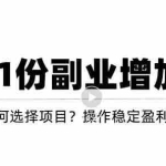 (3217期)新手如何通过操作副业增加收入,从项目选择到玩法分享!【视频教程】