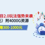 (3207期)实测日赚300-1000元:2022幼教项目2.0玩法强势来袭(价值699)附4000G资源