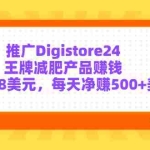 (3195期)推广Digistore24王牌减肥产品赚钱,每单158美元,每天净赚500+美元