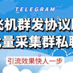 (3187期)【引流必备】TG飞机群发协议脚本,批量采集群私聊,打广告引流效果立竿见影