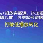 (3179期)Dou+投放实操课,抖加投放,随心推,付费起号逻辑,打破低播放转化
