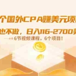 (3177期)6个国外CPA赚美元项目:什么也不做,日入116-2700美元(6节视频课)