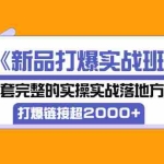 (3175期)《新品打爆实战班》一套完整的实操实战落地方法,打爆链接超2000+(28节课)