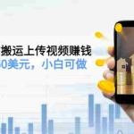 (3142期)TIKTOK无脑搬运上传视频赚钱,日入150-250美元,小白可做(2节视频课)
