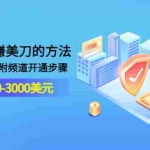 (3141期)YOUTUBE赚美刀的方法:月入2000-3000美元(2节视频课)附频道开通步骤