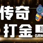 (3103期)【高端精品】最新传奇打金挂机项目,单号日入50+【挂机脚本+详细教程】