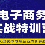 (3101期)电子商务实战特训营,全方位带你入门电商,308种方式玩转电商