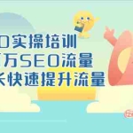 (3098期)SEO实操培训:玩转百万SEO流量,助力站长快速提升流量(18节视频课)