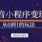 (3096期)抖音小程序一个能日入300+的副业项目,变现、起号、素材、剪辑