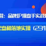 (3138期)秒懂代运营:品牌IP操盘手实战赚钱,0-1起盘和落地实操(23节课程)价值199