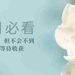 (3117期)某公众号付费文章《七月必看:调整迟到,但不会不到》选好方向 等待收获