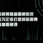 （3085期）《短视频直播盈利系统》专为企业打造的短视频直播盈利课