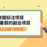 (3081期)数据标注项目:适合暑假的副业兼职项目,日入200~600元