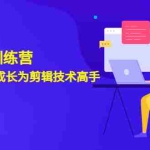 (3080期)剪辑实战训练营:带你从0基础成长为剪辑技术高手(20节课)