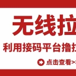 (3070期)【高端精品】最新接码无限拉新项目,利用接码平台赚拉新平台差价,日赚500+