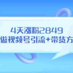 (3063期)某公众号付费文章《4天涨粉2849,我做视频号引流+带货方案》