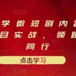 (3033期)10堂速学微短剧内容制作标准与项目实战,领跑80%同行