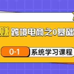 (3026期)玩赚跨境电商之0基础课程,0-1系统学习课程(20节视频课)