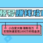 (3020期)玩转微信视频号赚钱:小白变大咖 涨粉百万 实现快速变现1000万的现金流