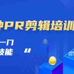 (2992期)抖音视频:一分钟PR剪辑培训:学会一门赚钱的技能,每节课短小精悍