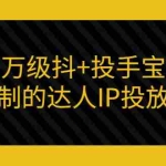 (2967期)百万级抖+投手宝典:可复制的达人IP投放攻略