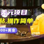 （2954期）分享一个国外赚美元项目：复制粘贴一个月6000+美金，简单易操作