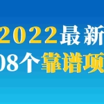 (2952期)2022最新整理108个热门项目:日入580+月赚10W+精准落地,不割韭菜!