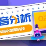 (2926期)最新版抖音分析师 养号分析+违规词检查+dou+效果分析+作品权重检测(永久版)