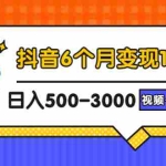 (2896期)抖音6个月变现19w,日入500-3000,完整版实操攻略教程(视频+文档)