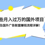 (2891期)揭秘那些月入过万的国外项目,赚钱攻略及国外广告联盟赚钱流程详解!