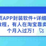 (2883期)网页APP封装软件【安卓版】+详细操作教程,有人在淘宝靠卖这个月入过万!