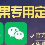 (2874期)【苹果专用】微商微信多开,营销转发跟圈跟随密友防撤回软件【永久版】