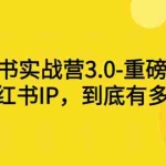 (2861期)小红书实战营3.0-重磅来袭:做好小红书IP,到底有多赚钱?