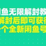 (2823期)闲鱼无限解封教程,解封后即可获得一个全新闲鱼号,一单80到180