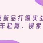 (2816期)淘宝新品打爆实战班,直通车起爆、搜索起爆(价值599元)
