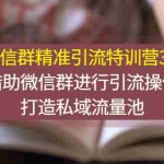 (2770期)微信群精准引流特训营3.0,借助微信群进行引流操作,打造私域流量池