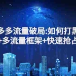 (2768期)拼多多流量破局:如何打黑标,爆款思路+多流量框架+快速抢占百亿流量