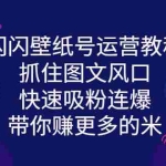 (2764期)闪闪壁纸号运营教程,抓住图文风口,快速吸粉连爆,带你赚更多的米