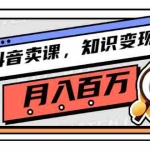 (2737期)抖音卖课,知识变现、大咖教你如何月入100万(价值699元)