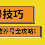 (2729期)2022年最新微信无限制注册+养号+防封解封技巧(含文档+视频)