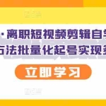 (2727期)离职短视频剪辑自学课程,可复制技术方法批量化起号实现多账号收益