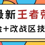 （2723期）王者荣耀跳人脸技术+改战区技术教程，一份教程卖50，一天能卖5-15份