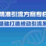 (2721期)制定精准引流方案专栏6.0:0基础打造被动引流系统(价值1380元)